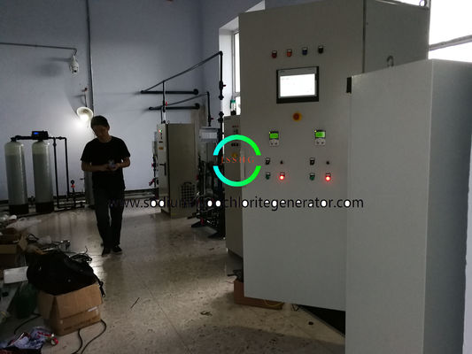 Fully Automatic On Site Sodium Hypochlorite Production Plant Customized